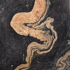 Esthetiek
